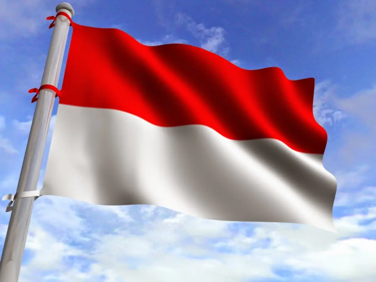 Illustrasi Bendera Merah Putih (Sumber : Pinterest)