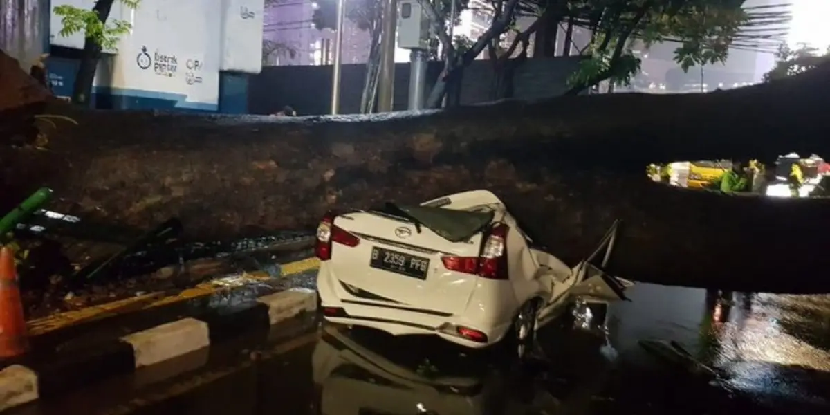ilustrasi mobil ringsek terkena pohon tumbang (Sumber : Dream)