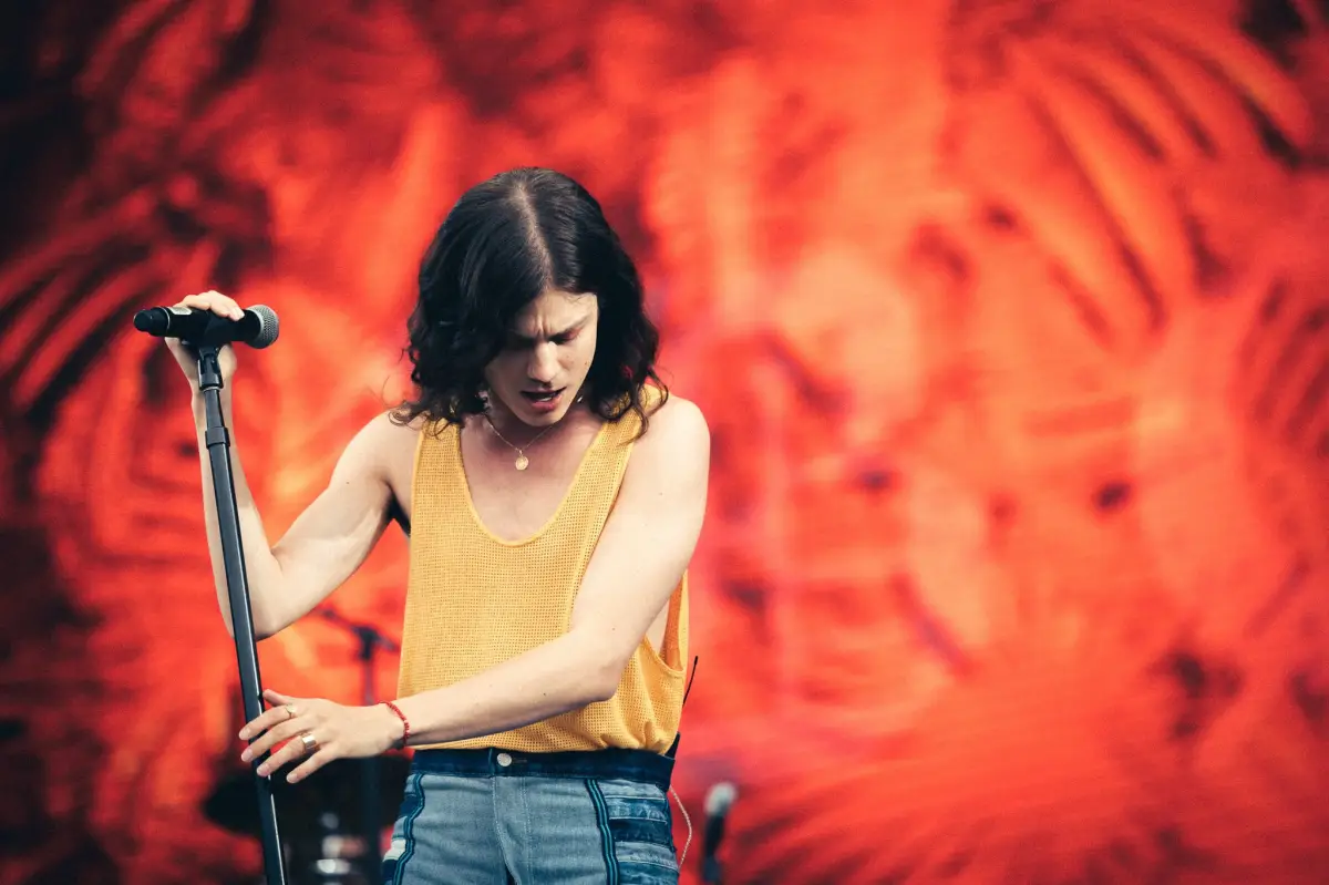 Lirik Lagu Electric Love milik Børns Ternyata Bikin “Ngefly” Guys! (Sumber : Pixabay)