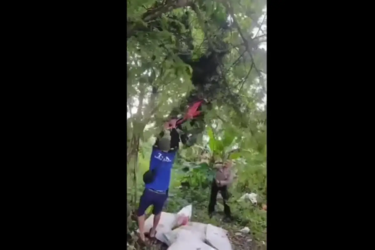 Tangkapan layar video viral sepeda motor nyangkut di pohon. (Sumber : Instagram/poros.garut)