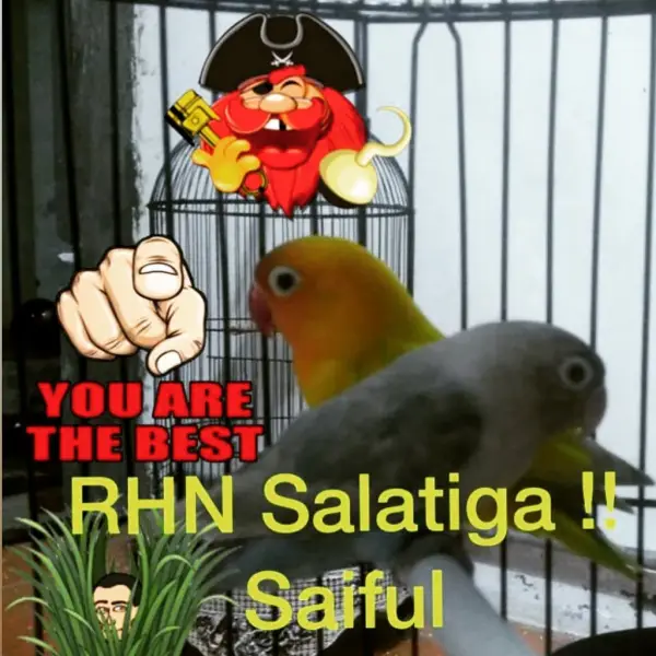 Deretan Potret Lapana Saragih yang Hobi Pelihara Burung Berkicau