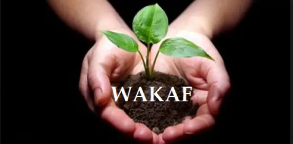Sejarah Perkembangan Wakaf dalam Islam sampai di Indonesia