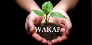 Ilustrasi wakaf. (Sumber: LSPT)