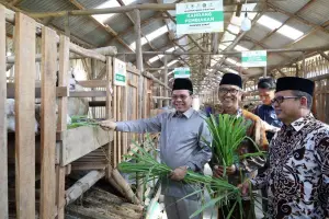 Dorong Kemandirian Ekonomi, BAZNAS RI Resmikan Balai Ternak di Cirebon (Sumber : Dok. BAZNAS)