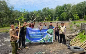 Transformasi Lahan Tambang Ilegal di Desa Darmo Jadi Model Ketahanan Pangan Berbasis Pertanian (Sumber : Dok. ptba.co.id)