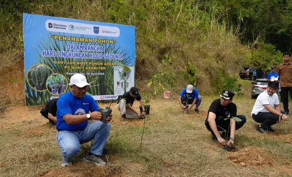 PT Bukit Asam Tanam Aren dan Bambu untuk Ubah Lahan Tambang Jadi Kawasan Konservasi