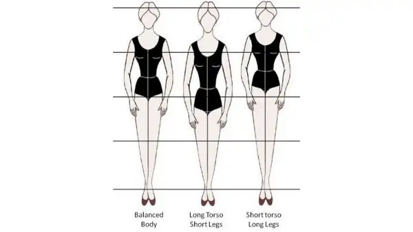 Kenali Bentuk Tubuhmu: Cara Mudah Bedain Long Torso vs Short Torso Biar Gak Salah Pilih Outfit lagi