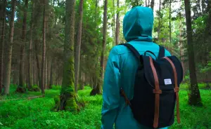 Foto: Ilustrasi Tas Pendakian untuk Mendaki 1 Hari (Sumber : Pixabay/StockSnap)