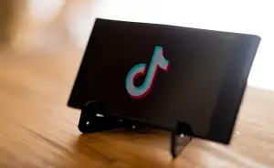 Rahasia di Balik Video 15 Detik yang Bisa FYP dan Viral (Sumber : Pixabay/amrothman)