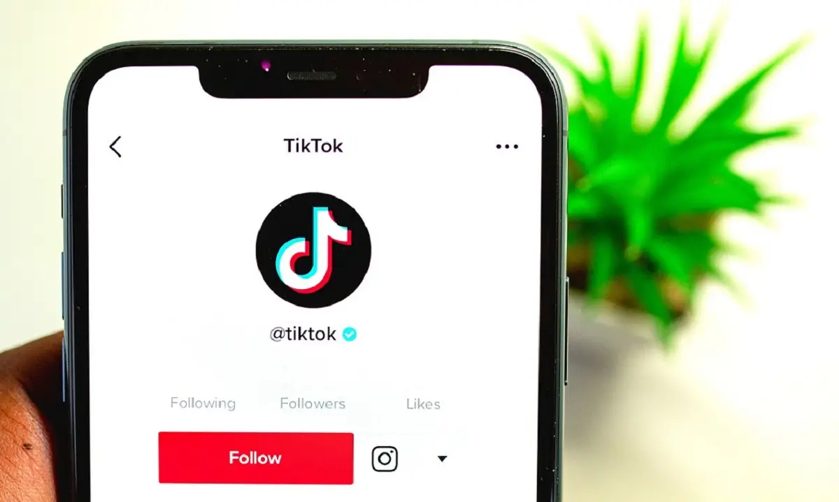 Foto: Ilustrasi Aplikasi TikTok (Sumber : Pixabay/SAM-RIZ44)