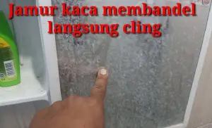 Cara Mudah Membersihkan Jamur Kaca (Sumber : YouTube/Sidik motor)