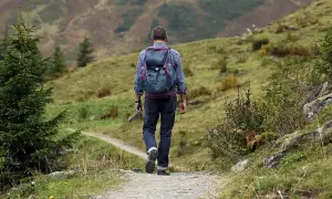 Manfaat Pendakian Gunung untuk Kesehatan Fisik dan Mental (Sumber : PIXABAY / Hermann)