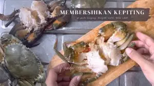 Cara Membersihkan Kepiting Hidup Sebelum Dimasak: Praktis dan Bersih (Sumber : YouTube/Nanda Arianda)