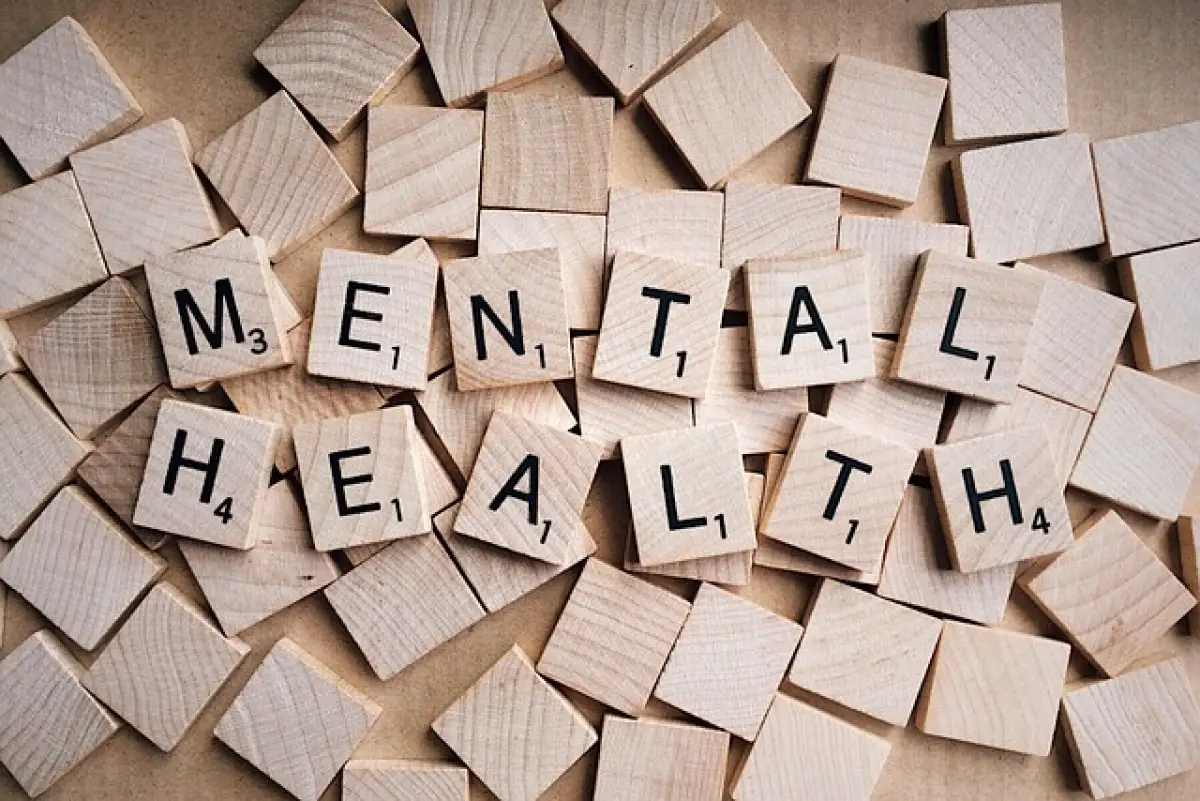 Panduan Menjaga Kesehatan Mental di Era Digital (Sumber : PIXABAY / WOKANDAPIX)