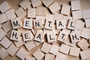 Panduan Menjaga Kesehatan Mental di Era Digital (Sumber : PIXABAY / WOKANDAPIX)