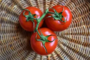 Bukan Sekadar Pelengkap, Ini Manfaat Tomat yang Wajib Kamu Tahu! (Sumber : PIXABAY / MabelAmber)