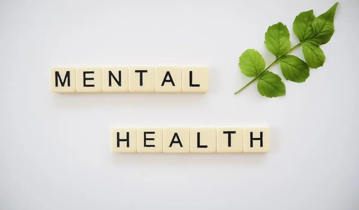 Menjaga Kesehatan Mental di Tengah Kesibukan: Tips Sederhana yang Bisa Dilakukan Setiap Hari (Sumber : PIXABAY / TotalShape)