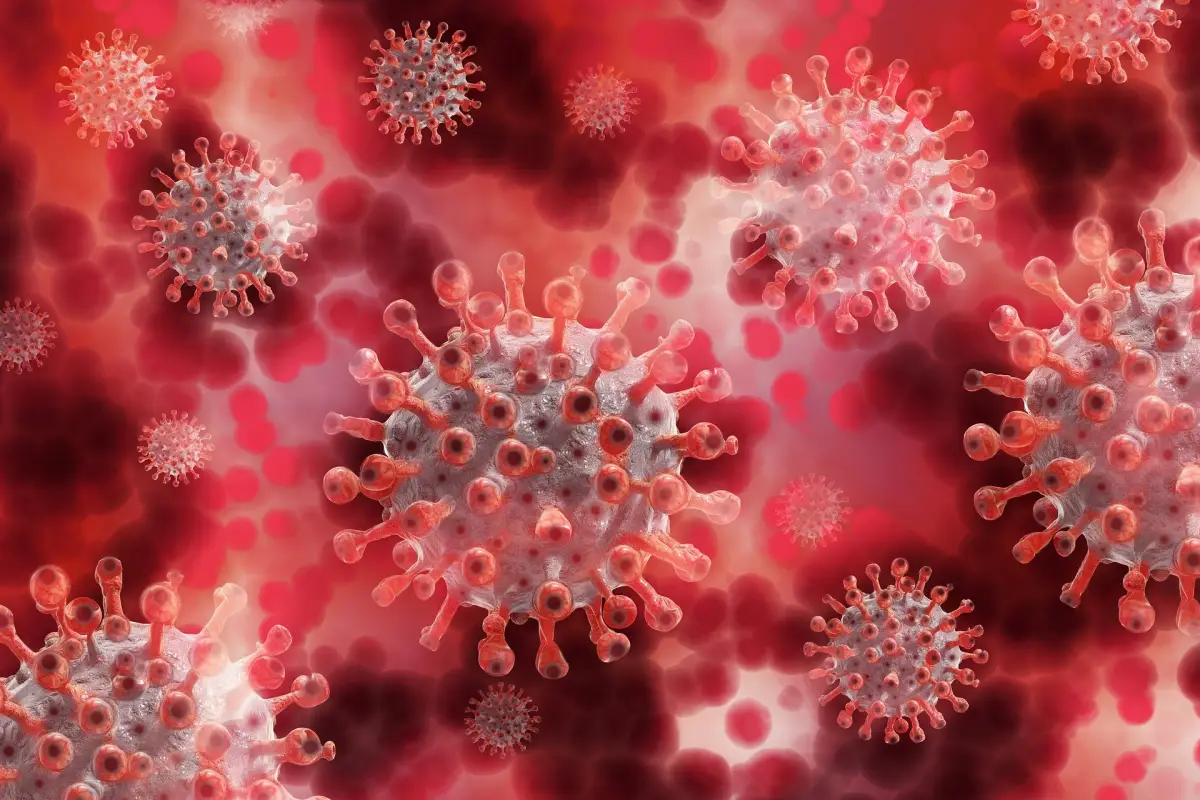 ilustrasi Waspada Virus Nipah, Penyakit Berbahaya yang Masih Jarang Dikenal (Sumber : PIXABAY / geralt)