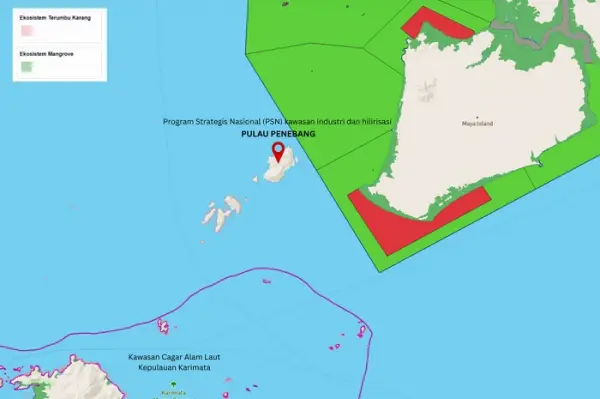 Alasan Pulau Penebang di Karimata Jadi Proyek Strategis Nasional