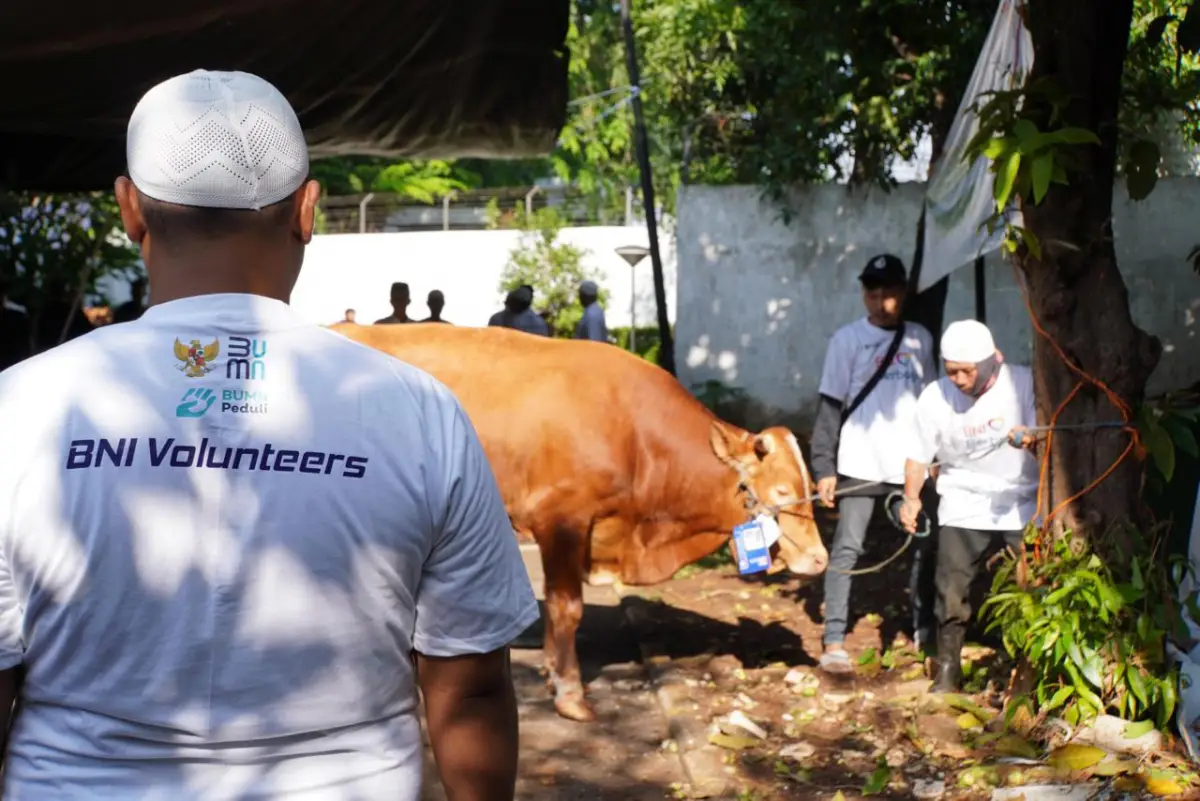 BNI Distribusikan 1.200 Hewan Kurban ke Berbagai Daerah Indonesia (Sumber : dok. BNI)